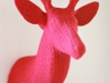 domestic-trophies-pink-stag
